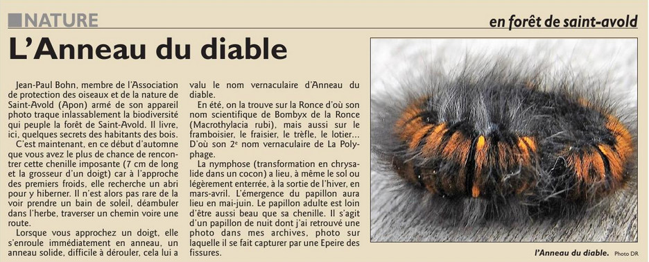 035_RL_20_Octobre_2017_L_Anneau_du_diable.jpg