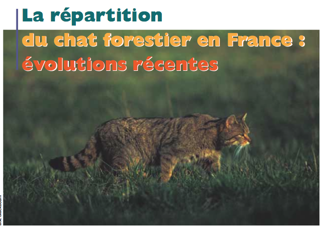 chatforestier.png