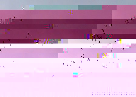 grues.JPG