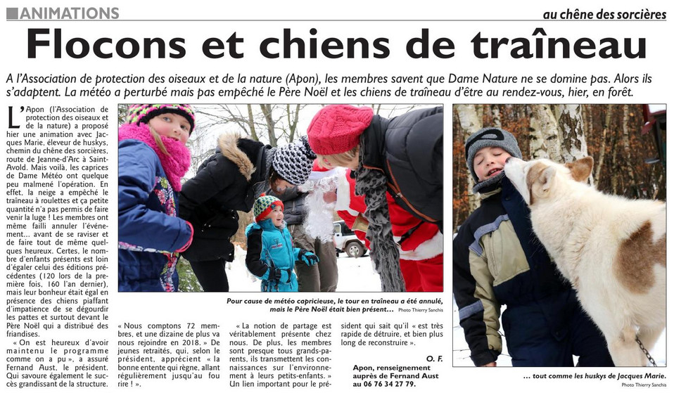 RL_11_decembre_2017_Flocons_et_chiens_de_traineau_pour_le_Pere_Noel.jpg