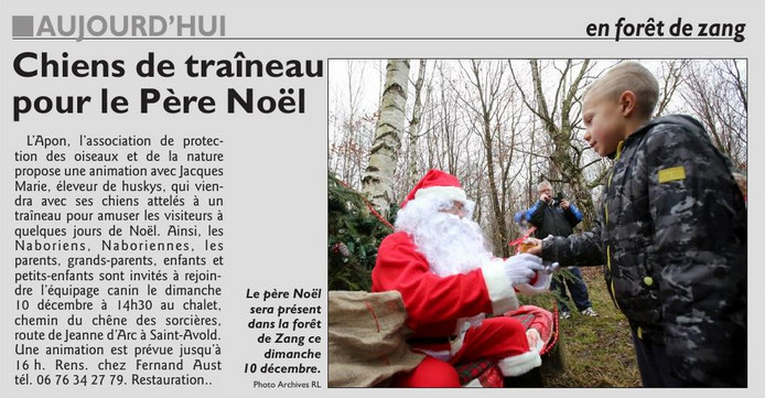 RL_10_decembre_2017_Chiens_de_traineau_pour_le_Pere_Noel.jpg